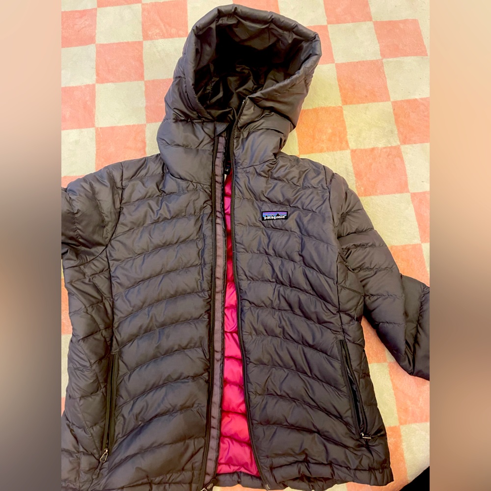 Patagonia hooded jacket. Perfect!!